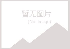 偃师执念水泥有限公司